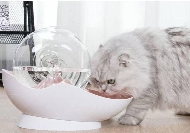 Fontaine à eau automatique 2.8L pour chat et chien