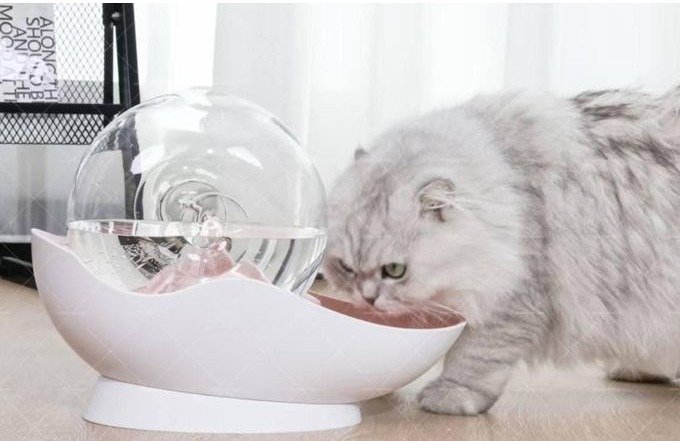 Fontaine à eau automatique 2.8L pour chat et chien