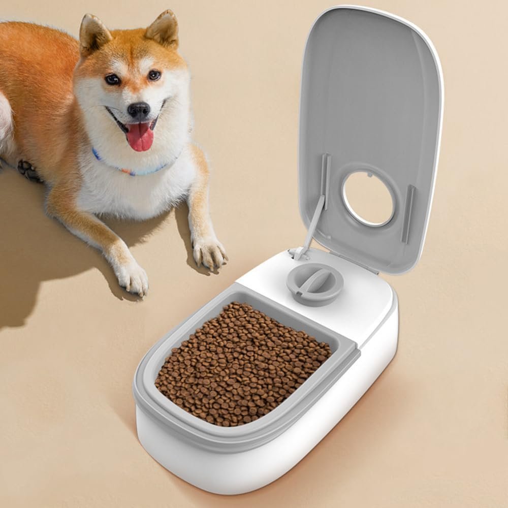 Distributeur automatique de nourriture pour chat et chien